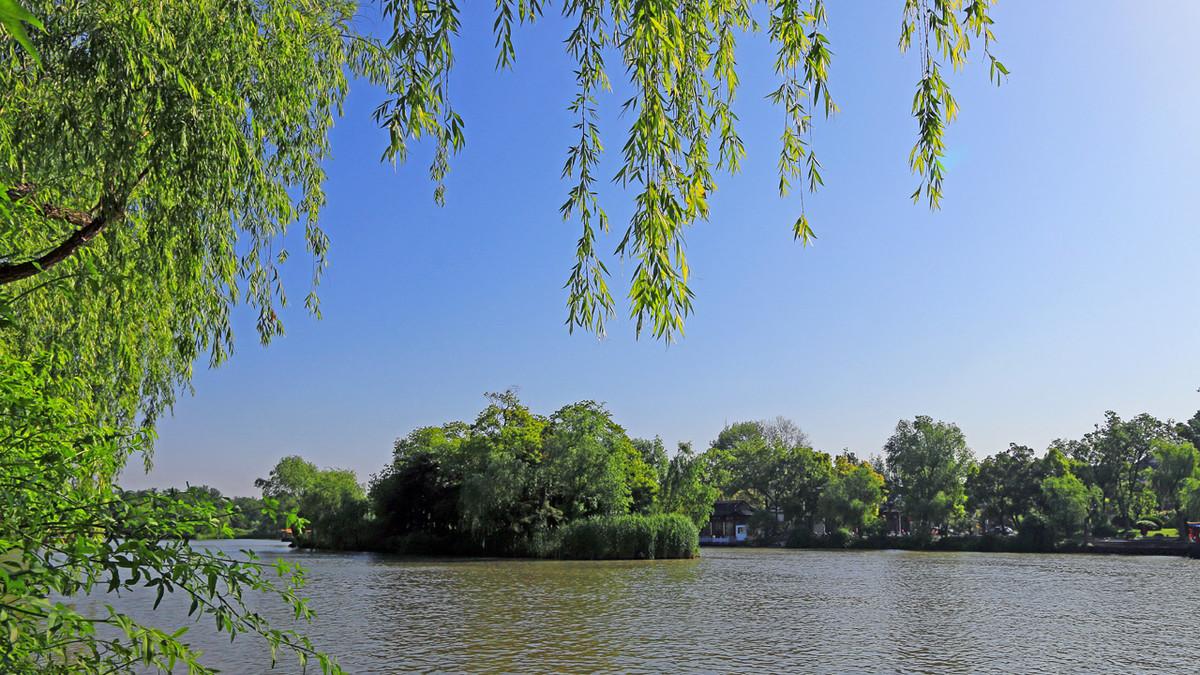 家庭治疗在青少年心理咨询的应用（7-8）学习心得  心理咨询工作对象是人的思维？