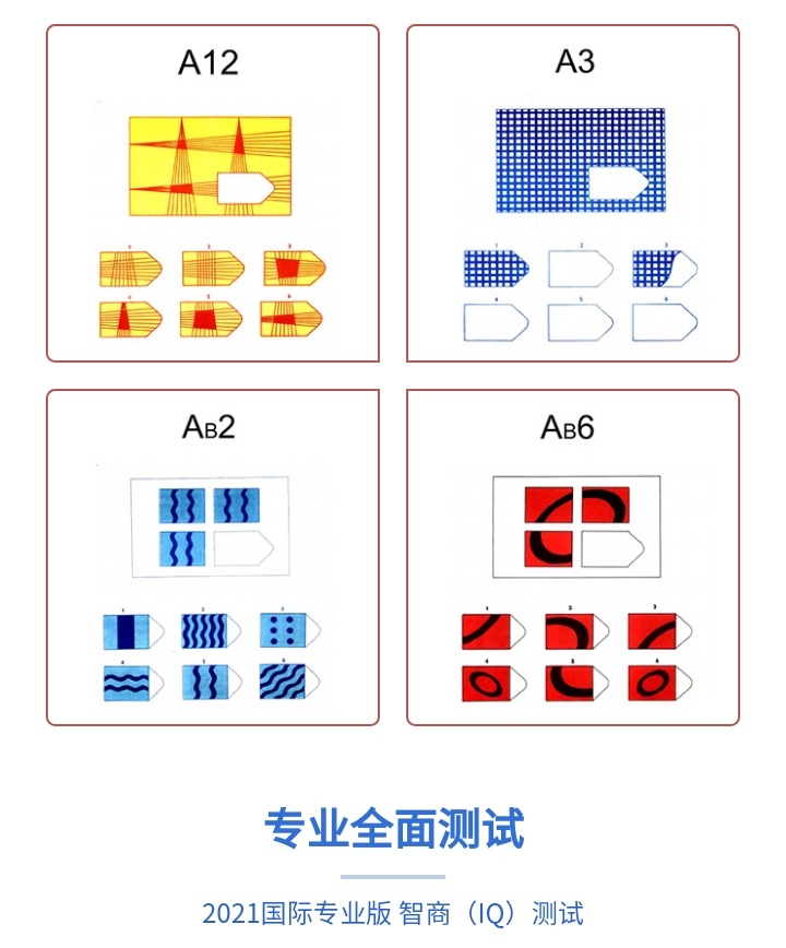 国际权威智商测验-联合型瑞文智力测验