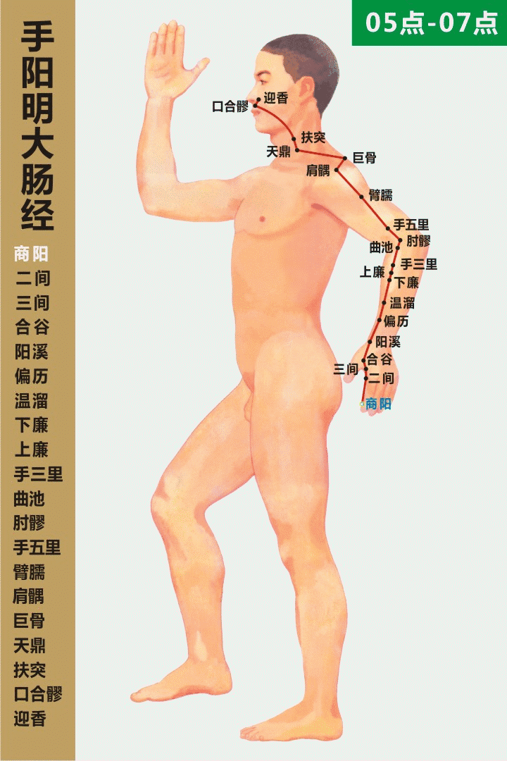 十四经穴位及走向高清动图