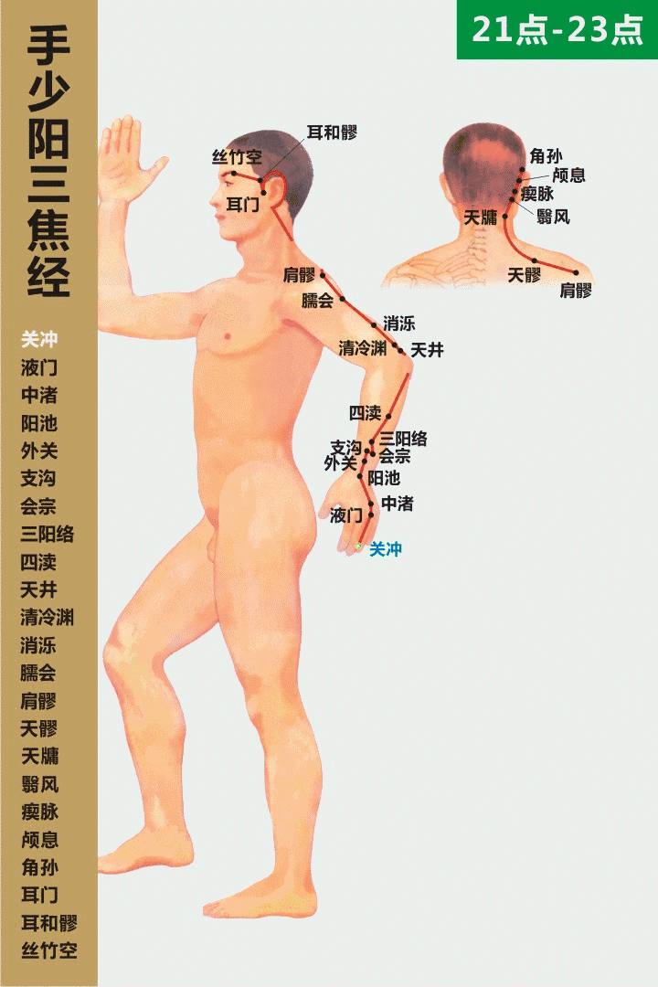 十四经穴位及走向高清动图