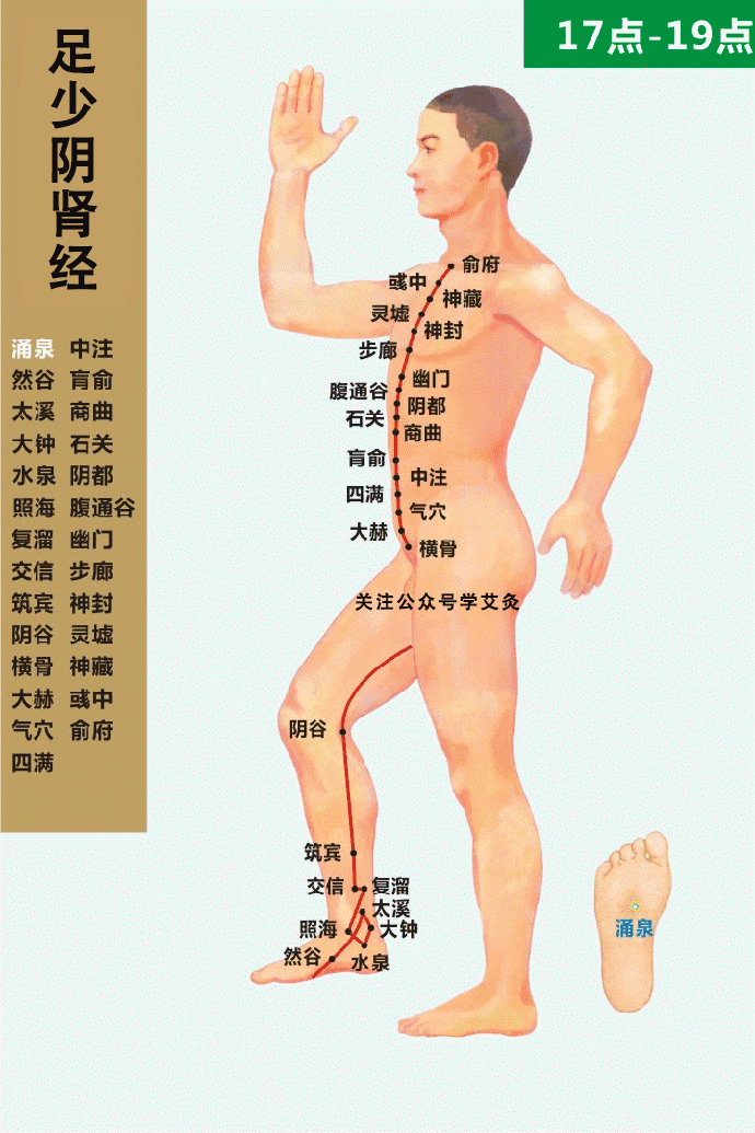 十四经穴位及走向高清动图