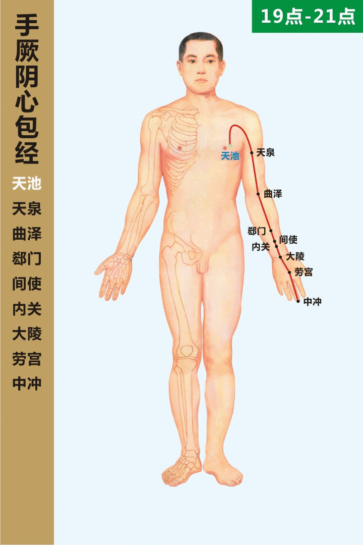 十四经穴位及走向高清动图
