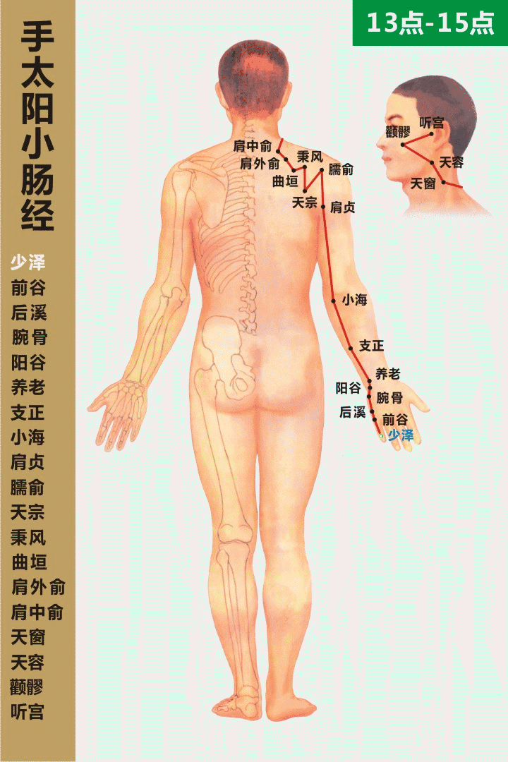 十四经穴位及走向高清动图