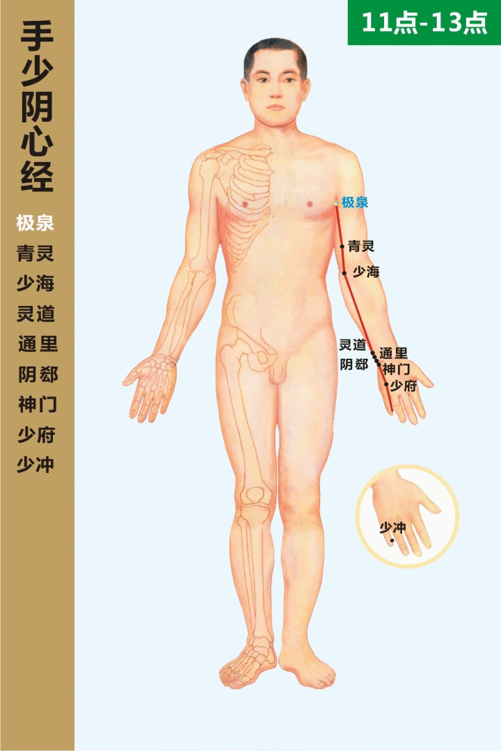 十四经穴位及走向高清动图